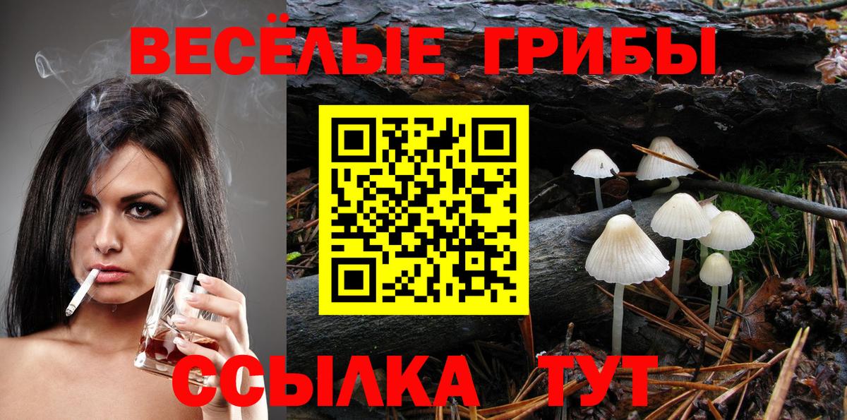 Псилоцибиновые грибы GOLDEN TEACHER Назрань
