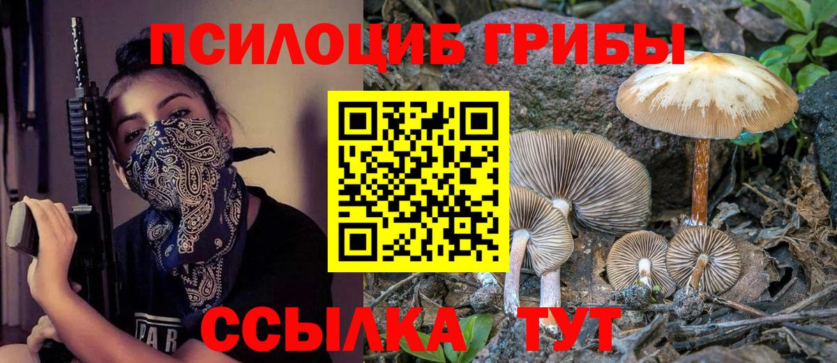 Псилоцибиновые грибы Magic Shrooms  Вход с VPN  Назрань 