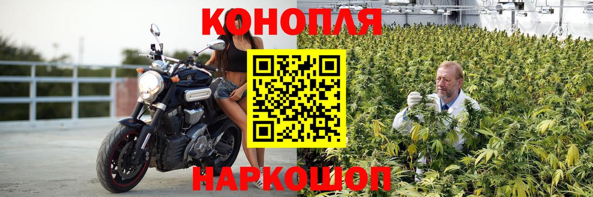 Бошки марихуана OG Kush Назрань